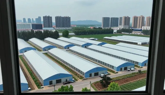 互动设计在直播运营中的性能表现与适用场景分析